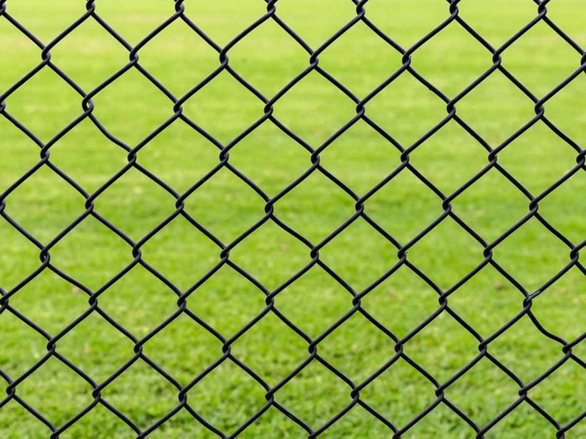 Black vinyl-coated chain link fence against a green lawn